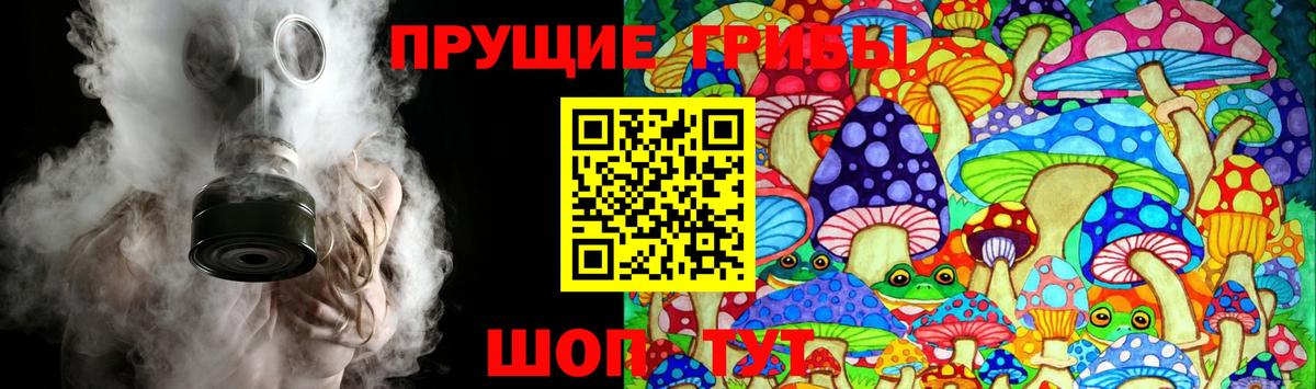 Галлюциногенные грибы мухоморы  Вход с VPN  Псилоцибиновые грибы Psilocybe  где продают   Кызыл 
